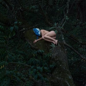 Image for 'Como árboles al cielo... encuentro'