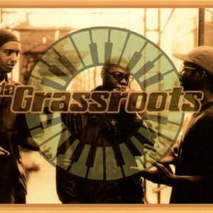 Image for 'Da Grassroots'