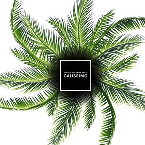 Image for 'Under the Palm Trees'