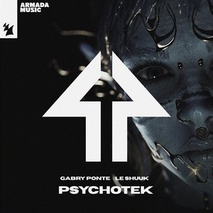 Image for 'Psychotek'