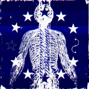 Image for 'IMMACULATE CONSTELLATION'