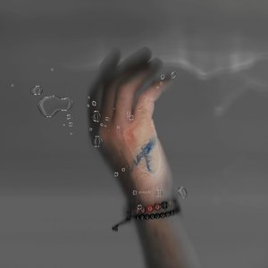 Immagine per 'LUAP'