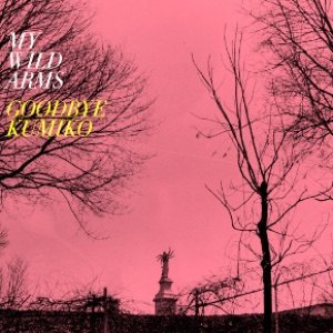 Image for 'My Wild Arms'