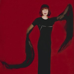 Image pour 'Rita Lee'