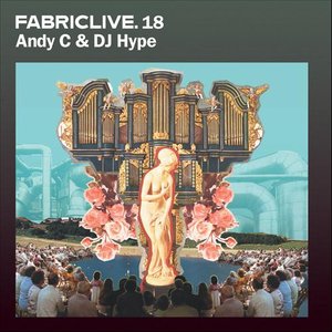 Image for 'Fabriclive 18: Andy C & DJ Hype'