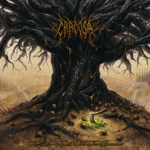Image for 'The Axe Forgets, The Tree Remembers'