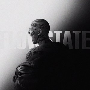 Image for 'Flowstate'