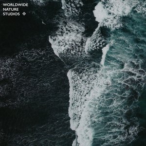 '2021 Wave Sounds'の画像