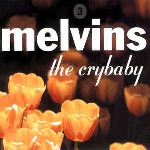 Immagine per 'The Crybaby'