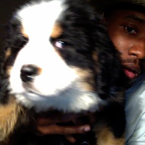 Image pour 'Frank Ocean'