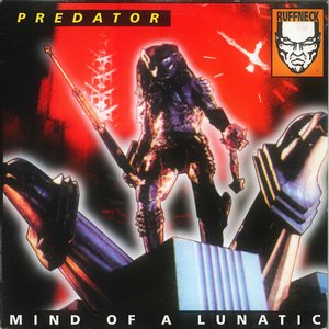 Image for 'Mind Of A Lunatic'