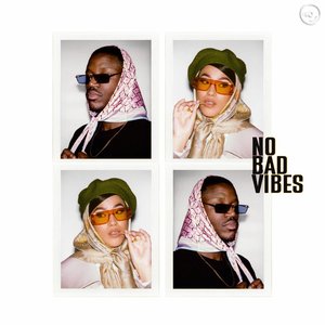 Zdjęcia dla 'No Bad Vibes (The Remixes)'