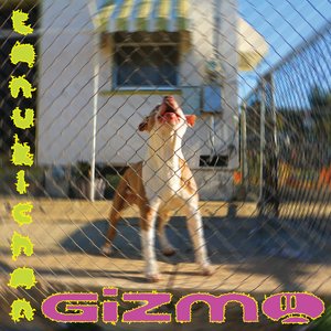 Image for 'Gizmo'