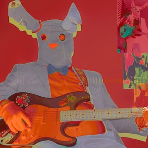 Image for 'Silly Rabbit Orchestra'