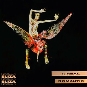 Bild für 'A Real Romantic'
