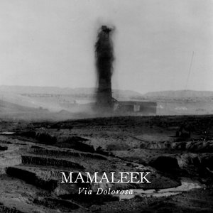 Image for 'Via Dolorosa'