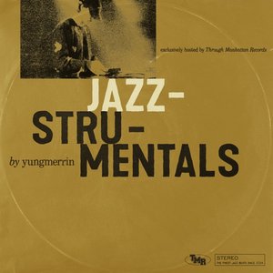 Image for 'Jazzstrumentals'
