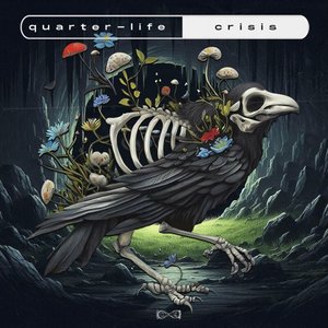 Imagem de 'quarter-life crisis'