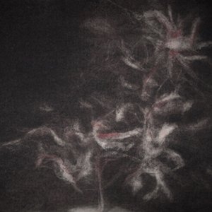 Image for 'Shitshitshit (japanese death poem)'