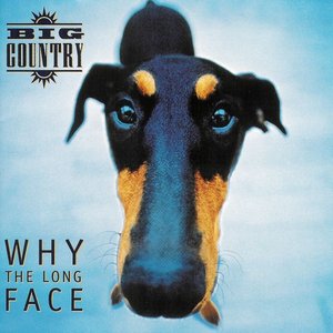Imagen de 'Why the Long Face'