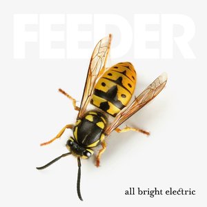 Image for 'All Bright Electric'
