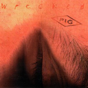 Bild für 'Wrecked'