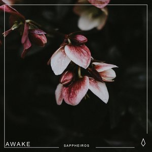 Image for 'Awake'