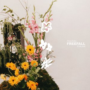 Image for 'FREEFALL'