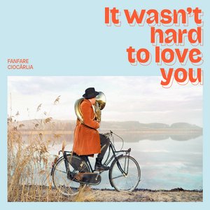 Imagem de 'It Wasn't Hard To Love You'
