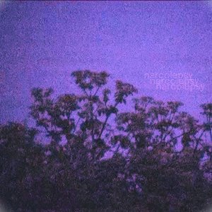 Image for 'nocturne'