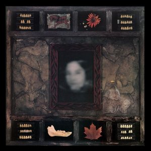 Image pour 'Face of Collapse'