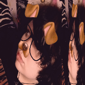leomeow123