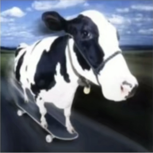 xxzvczx
