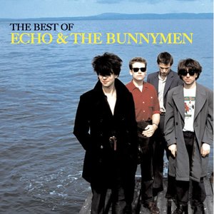 'The Best of Echo & the Bunnymen'の画像