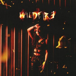 Image for 'Wildfire'