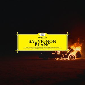 Image for 'Sauvignon Blanc'