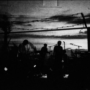 Image for 'Oiseaux-Tempête'