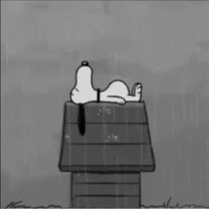 Immagine per 'Echo Sax'