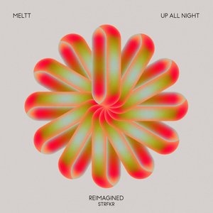 Bild für 'Up All Night (Reimagined)'