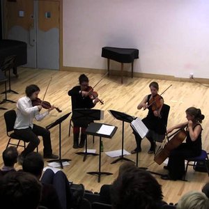 Bild för 'Midnite String Quartet'