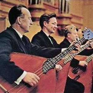 Immagine per 'Balalaika-Ensemble Wolga'