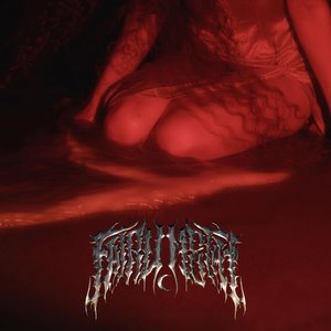 Image for 'FAIRY METAL'