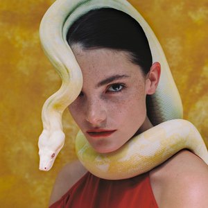 Image for 'Claire Laffut'