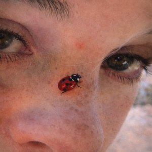 Immagine per 'Psycho Summer'