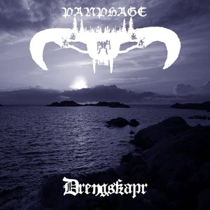 Image for 'Drengskapr'