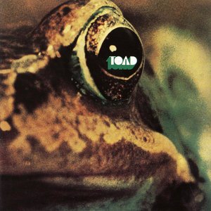 'Toad'の画像