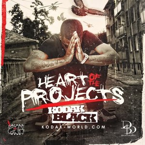 Bild für 'Heart Of The Projects'