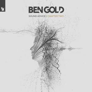 Image for 'Sound Advice (Chapter Two)'