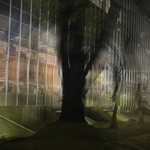 Image for 'verdadeiramente curitibano.'