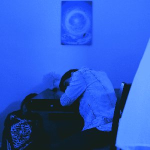Image for 'Fallen Asleep'